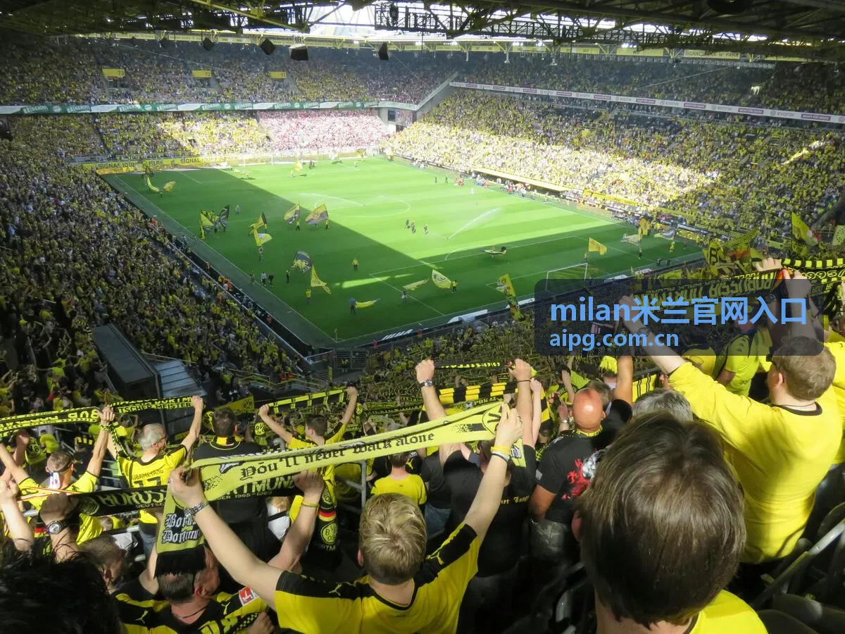 milan米兰官网入口直达指南封面图